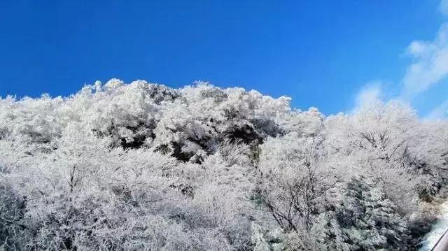 力拼“开门红”塑造县域发展新优势